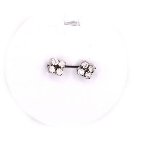 Σκουλαρίκια ασημένια με ζιργκόν